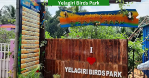 Read more about the article Yelagiri Birds Park: Ticket Price, Timings, Activities, Photos