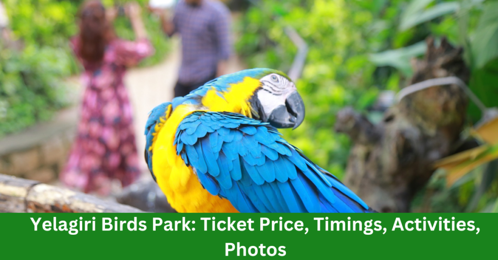 Yelagiri Birds Park: Ticket Price, Timings, Activities, Photos