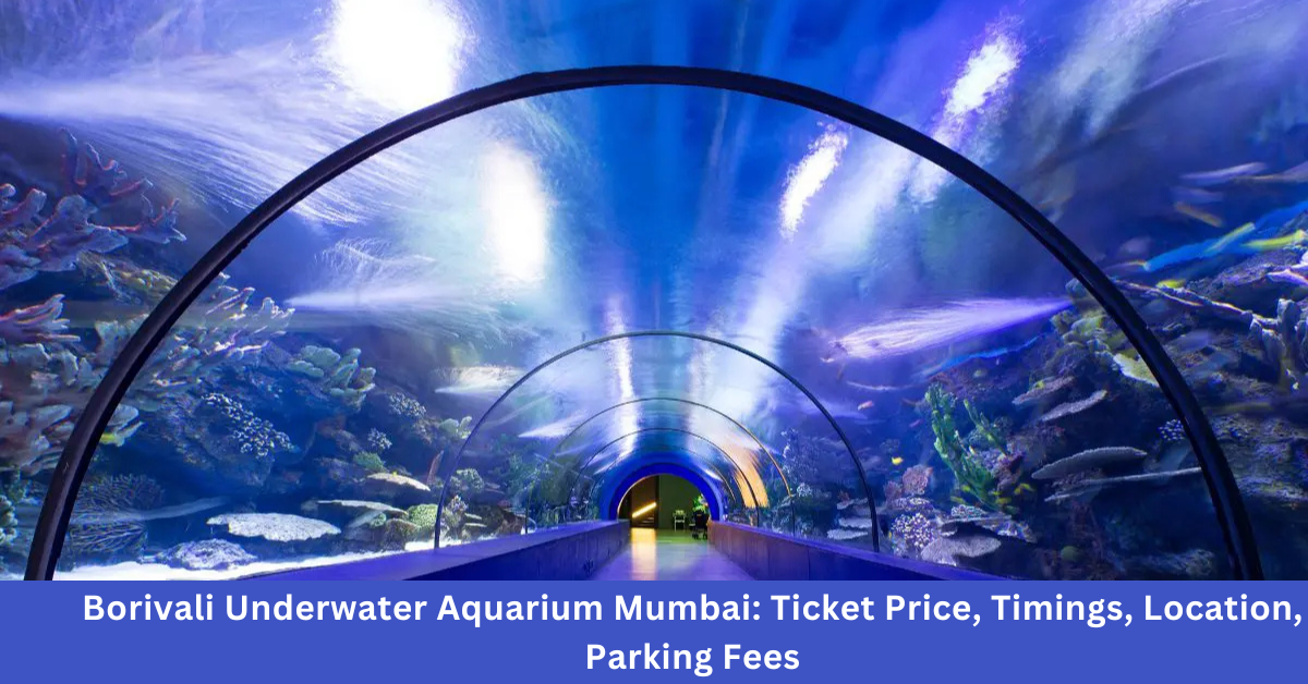 You are currently viewing Borivali Underwater Aquarium Mumbai: Ticket Price, Timings, Location, Parking Fees