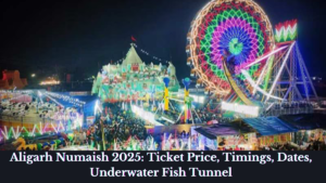 Read more about the article Aligarh Numaish 2025: Ticket Price, Timings, Dates & Attractions