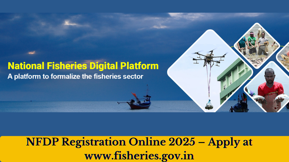 Read more about the article NFDP Registration Online 2025 – Apply at www.fisheries.gov.in